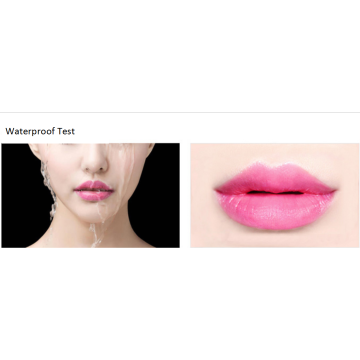 Long Lasting waterproof Moisturizing Lip Balm